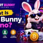 What Is Slot Bunny Casino? Complete Guide
